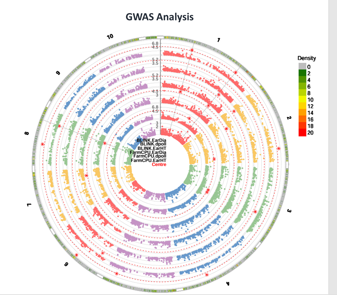 GWAS Analysis Visualization